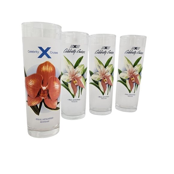 Celebrity Cruises Orchids Frosted High Ball Glasses Drink Recipe – Set of 4 - Picture 8 of 16